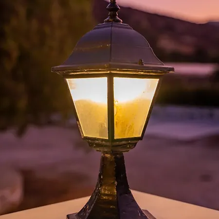 Appartement Olive #1