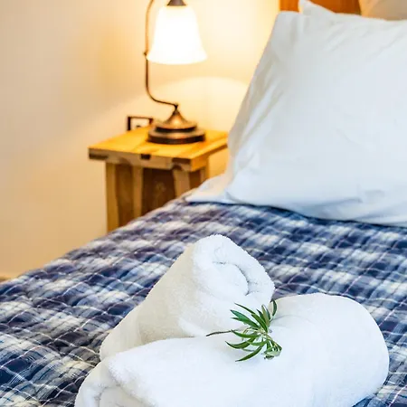 Olive #1 Appartement