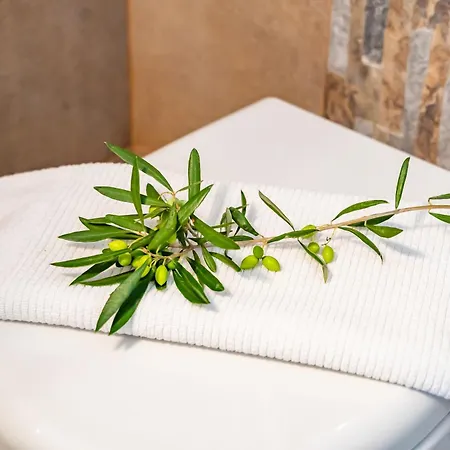 Olive #1 Appartement