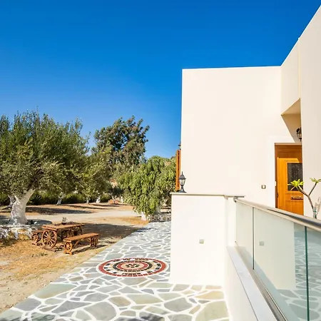 Olive #1 * Karpathos Town (Pigadia)
