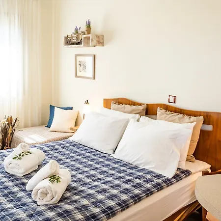 Olive #1 Apartment