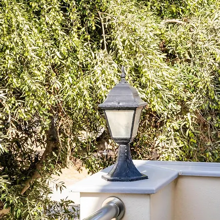 Apartament Olive #1 *