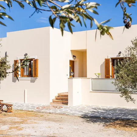 Olive #1 Karpathos Town (Pigadia)