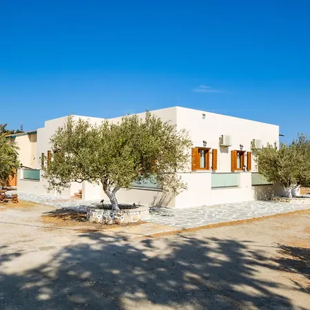 Olive #1 * Karpathos Town (Pigadia)