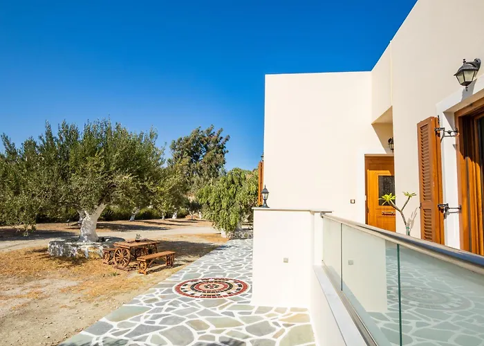 Olive #1 * カルパトス