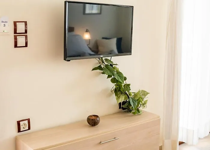 Olive #1 アパート カルパトス