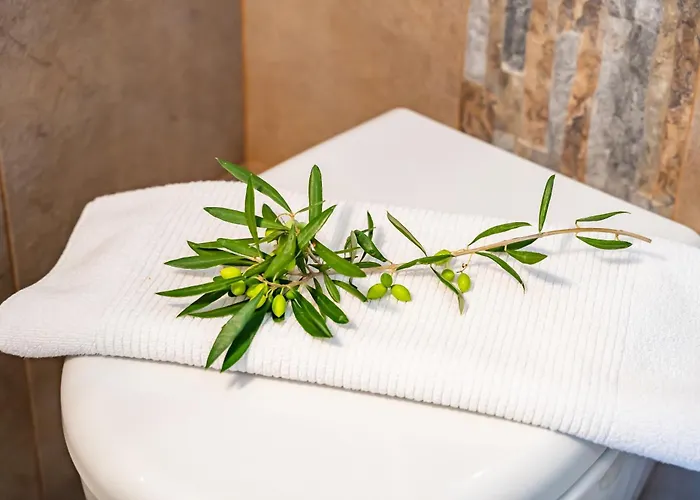 Olive #1 アパート