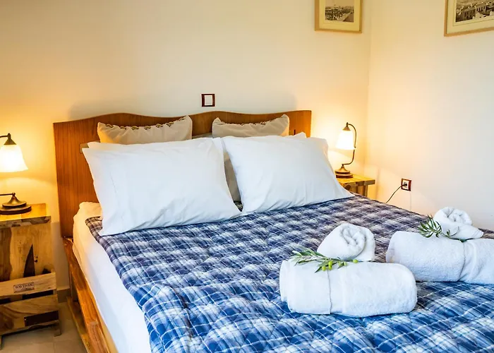 Olive #1 アパート カルパトス